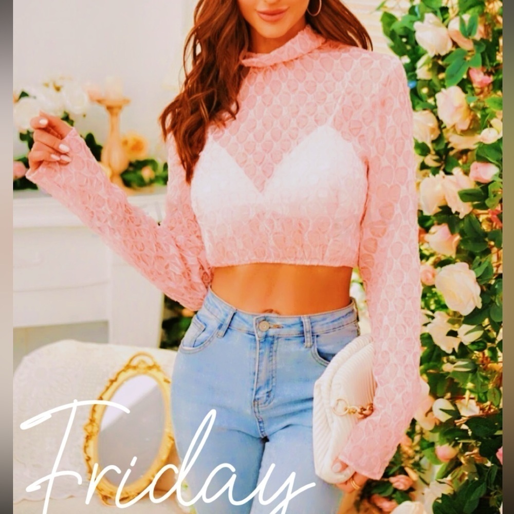 Pink LongSleeve Chic Sheer Top Size M 💕 NWT